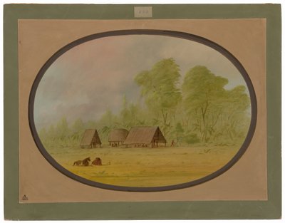  av George Catlin