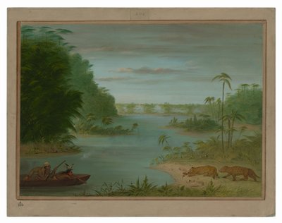 Pont de Palmiers och Tigerskytte av George Catlin