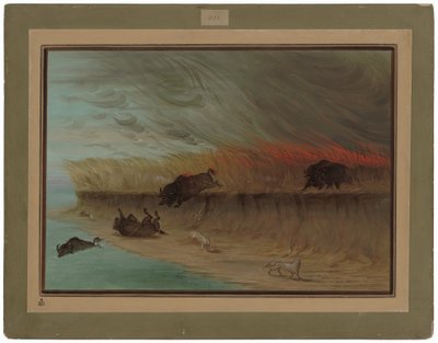 Prairie Meadows som brinner av George Catlin