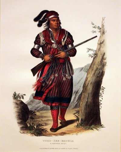 Seminolehövdingen Tuko-See-Mathla av George Catlin