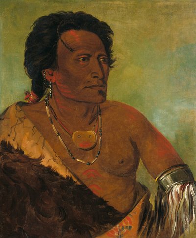 Sky-se-ró-ka, andra hövding i stammen av George Catlin
