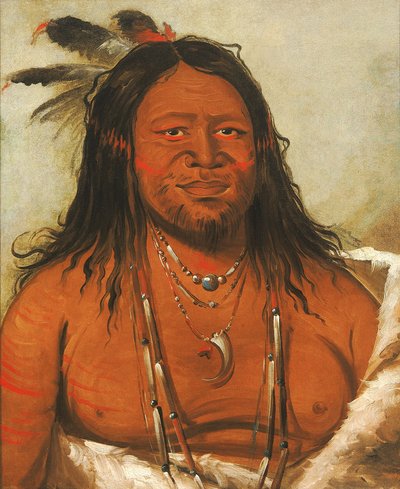 Ta-wáh-que-nah, Klippornas berg, andra hövdingen i stammen av George Catlin