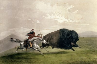 The Buffalo Chase "Singling Out", pub. av Currier och Ives av George Catlin