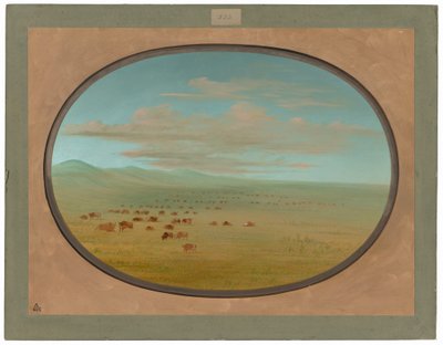 Vild boskap som betar på Pampa del Sacramento av George Catlin