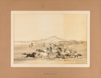Vilda hästar i lek - nr. 3 av George Catlin