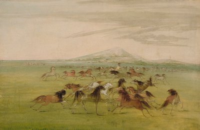 Vilda hästar i lek av George Catlin