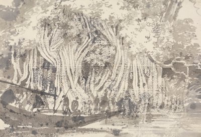Ett Pipulträd av George Chinnery