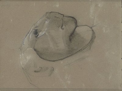 Lejonhuvud, förmodligen efter en skulptur av George Clausen