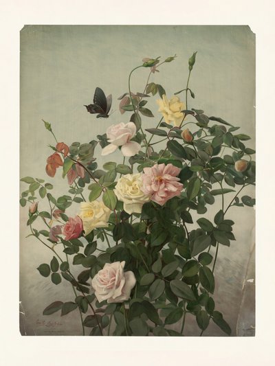 Rosor av George Cochran Lambdin