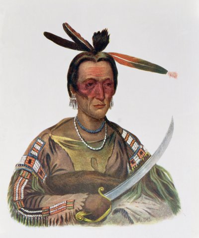 To-Ka-Cou, a Yankton Sioux Chief, 1837, ata mai le 