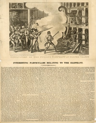 Förstörelse av den rasande elefanten vid Exeter Change av George Cruikshank