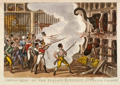 "Förstörelse av den rasande elefanten vid Exeter Change", 1826 av George Cruikshank