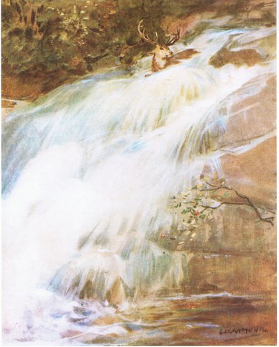 Han kastade huvudet högt i luften i en sista trotsakt och kastade sig ner i vattenfallet (färg litho) av George Denholm Armour