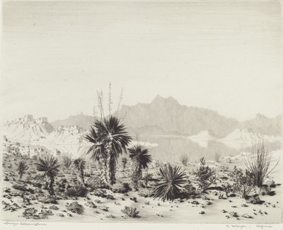 A Mirage, Arizona av George Elbert Burr