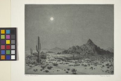 Arizona natt av George Elbert Burr