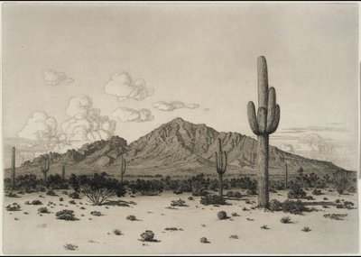 Camelback Mountain, Phoenix av George Elbert Burr