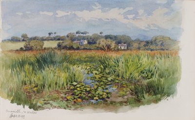 Criccieth, N Wales av George Elbert Burr