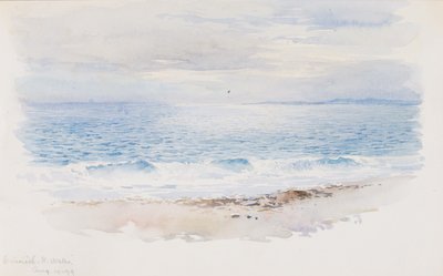 Criccieth, N. Wales, 1899. av George Elbert Burr
