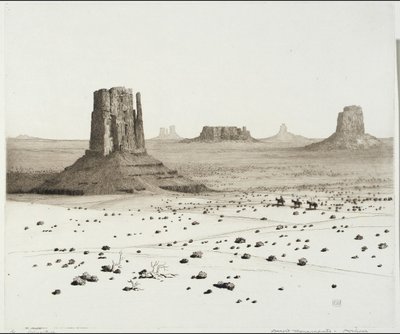 Ökenmonument, Arizona av George Elbert Burr