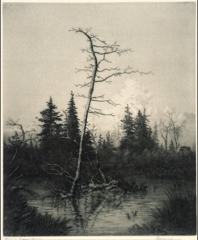 Kväll av George Elbert Burr
