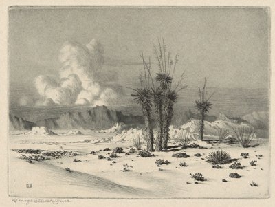 Kväll, Arizona av George Elbert Burr
