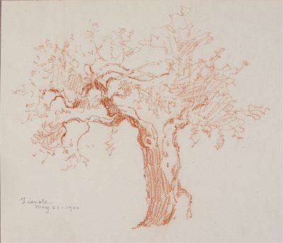 Fiesole av George Elbert Burr