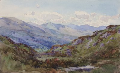 Från ovan Pont-y-Pant, 1899. av George Elbert Burr
