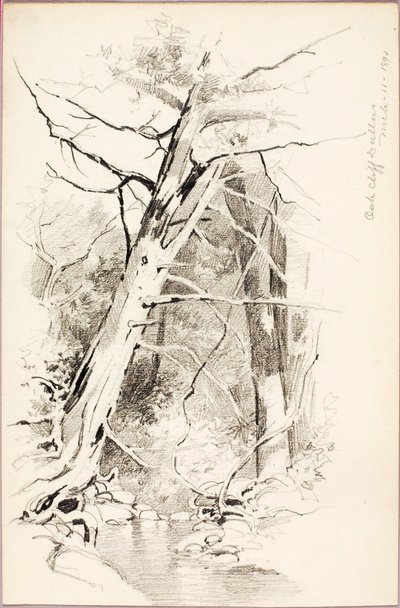 Oak Cliff, Dallas av George Elbert Burr