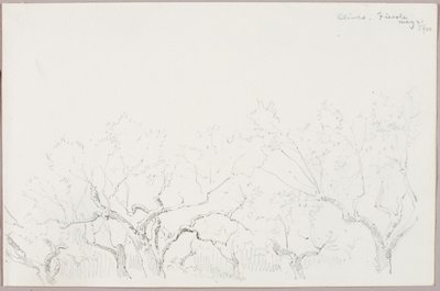 Oliver--Fiesole av George Elbert Burr