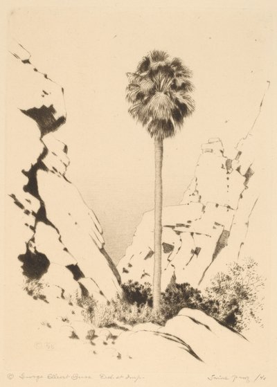 Palm Canyon (nr 1) av George Elbert Burr