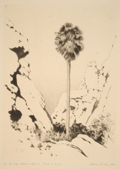 Palm Canyon (nr 1) av George Elbert Burr