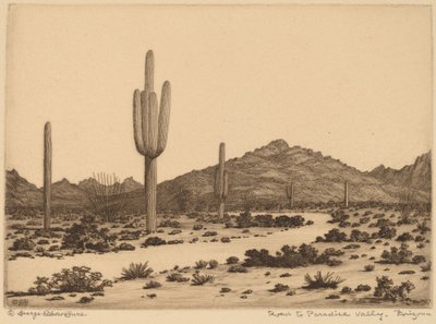 Vägen till Paradise Valley, Arizona av George Elbert Burr