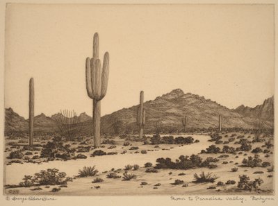 Vägen till Paradise Valley, Arizona av George Elbert Burr