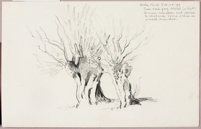 Roche Vaud av George Elbert Burr