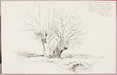 Roche Vaud av George Elbert Burr