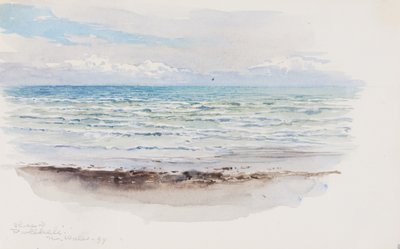 Stranden vid Pwllheli, N. Wales, 1899. av George Elbert Burr