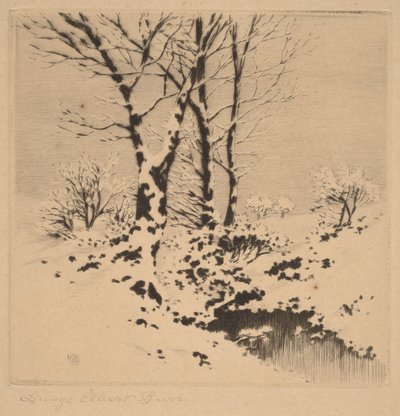 Snö av George Elbert Burr