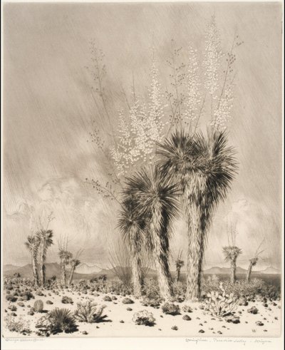 Vår, Paradise Valley, Arizona av George Elbert Burr