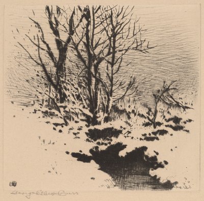 Den första snön (nr 2) av George Elbert Burr