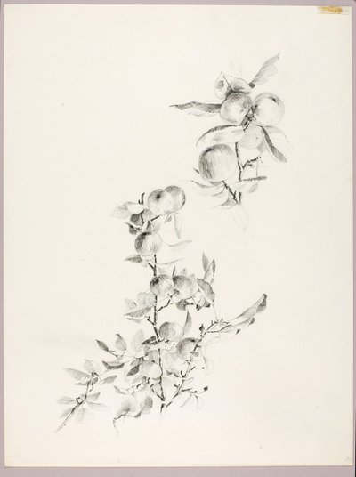 Utan titel (Äppelträdets grenar) av George Elbert Burr