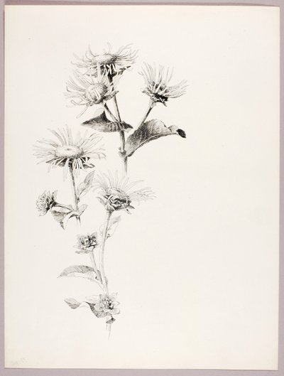 Utan titel (tusenskönor) av George Elbert Burr