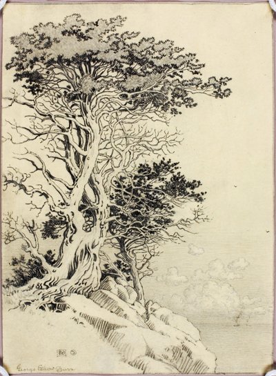 Utan titel (teckning för tryck) av George Elbert Burr