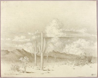 Utan titel (överföringsteckning till Kväll, Paradise Valley, Arizona) av George Elbert Burr