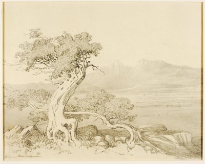 Utan titel (överföringsritning för Old Cedars och Spanish Peaks) av George Elbert Burr