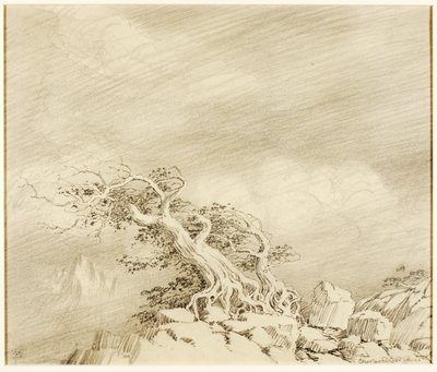 Utan titel (överföringsritning för Storm near Timberline) av George Elbert Burr