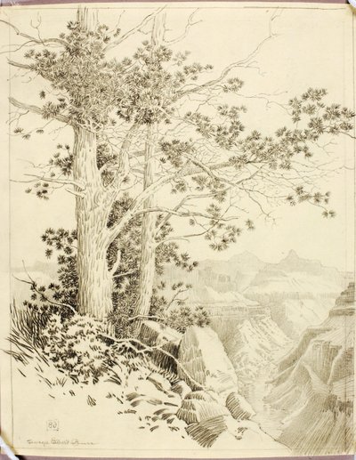 Utan titel (överföringsteckning för tryck) av George Elbert Burr