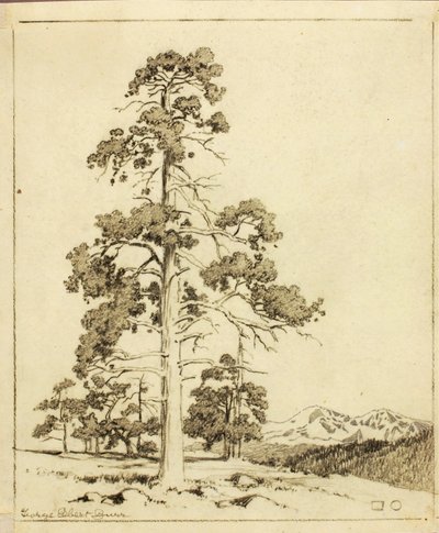 Utan titel (överföringsteckning för tryck) av George Elbert Burr