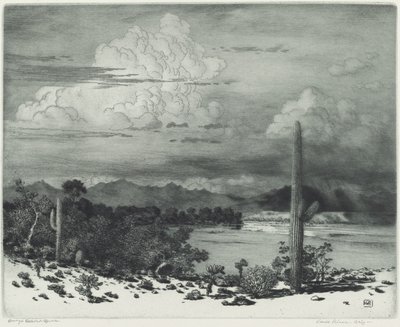 Verde River, Arizona av George Elbert Burr