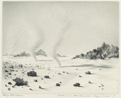 Virvelvindar, Dead Mountains, Mojaveöknen, Kalifornien av George Elbert Burr