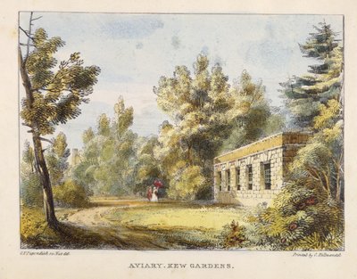 Aviary, Kew Gardens, skylt 10 från Kew Gardens: A Series of Twenty-Four Drawings on Stone, graverad av Charles Hullmandel (1789-1850) publicerad 1820 (handfärgad lito) av George Ernest after Papendiek